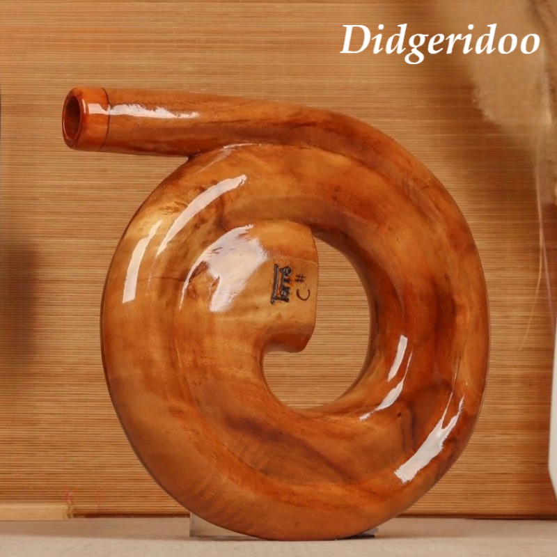 Musical Instrument Didgeridoo - Spiraalvormige Didgeridoo Houten draagbare Didgeridoos Meditatie