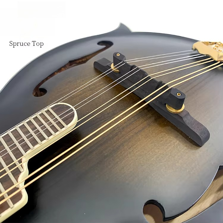 Hoge kwaliteit professioneel F - Mandolin A Style recensie en prijs
