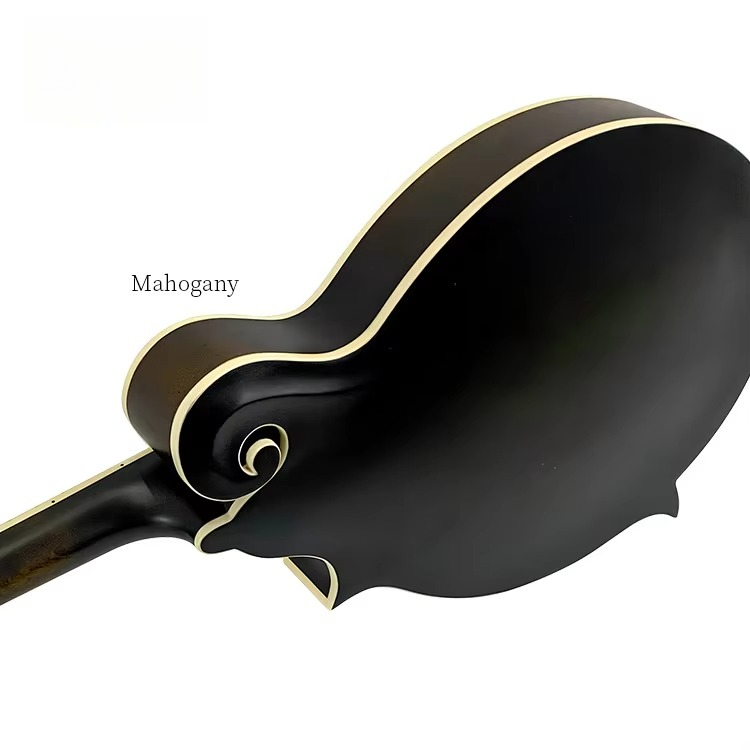 Hoge kwaliteit professioneel F - Mandolin A Style recensie en prijs