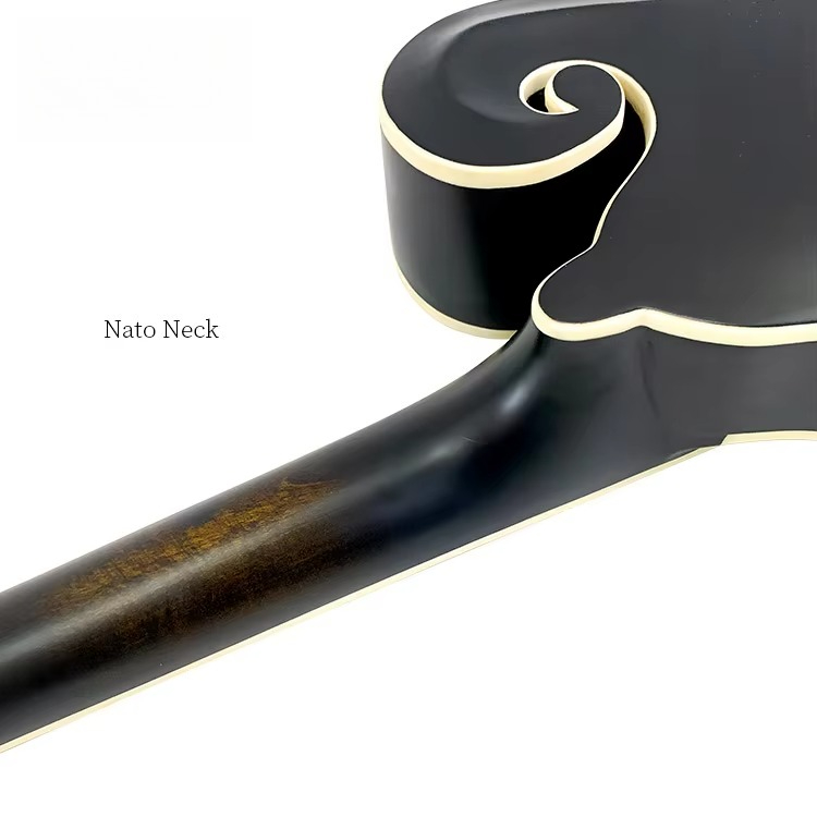 Hoge kwaliteit professioneel F - Mandolin A Style recensie en prijs