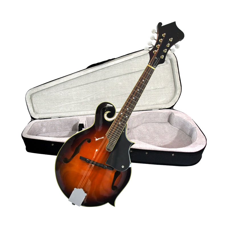 F-stijl mandoline, 8-snarig ak - Mandolin A Style recensie en prijs