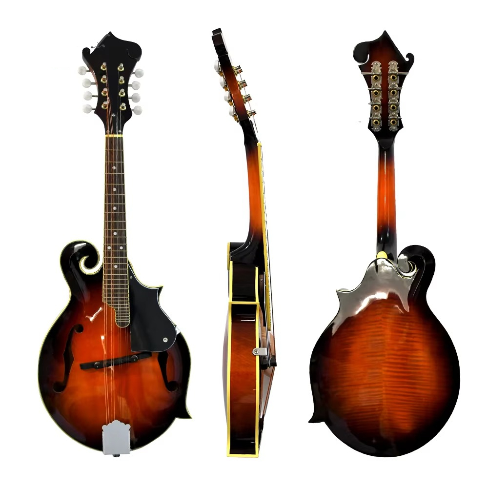 F-stijl mandoline, 8-snarig ak - Mandolin A Style recensie en prijs