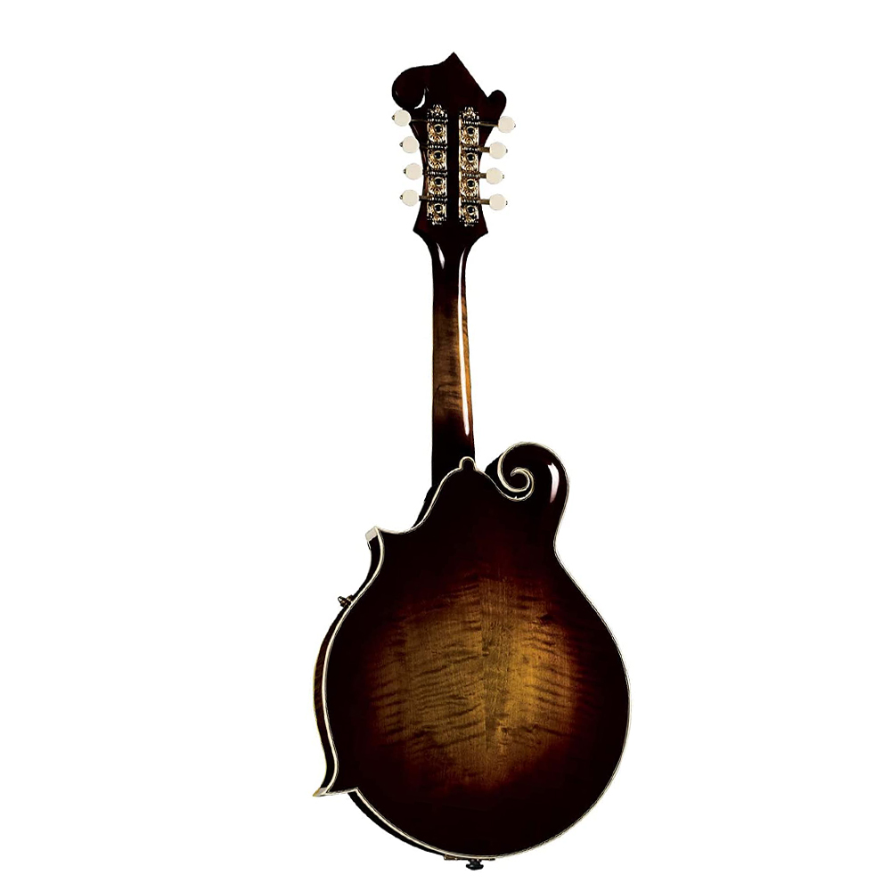 Akoestische mandoline voor beg - Mandolin A Style recensie en prijs