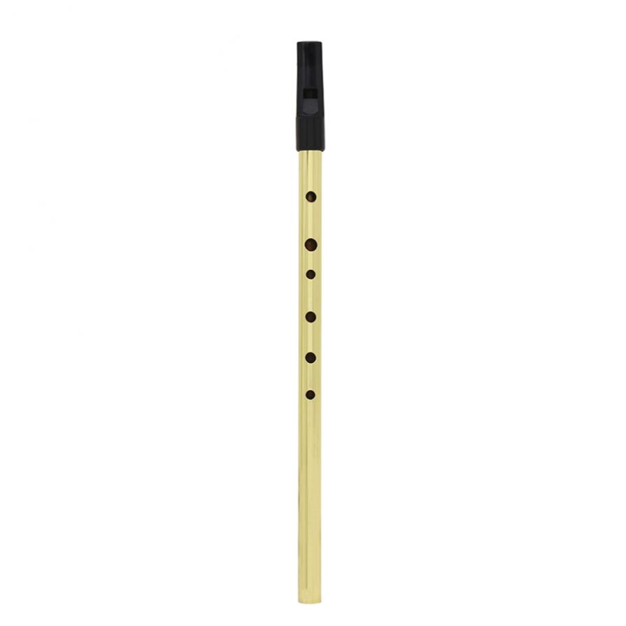 Ierse Fluitje Sopraan Fluit D  - Musical Instrument Irish recensie en prijs