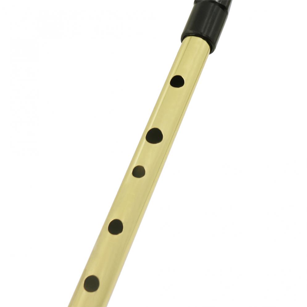 Ierse Fluitje Sopraan Fluit D  - Musical Instrument Irish recensie en prijs