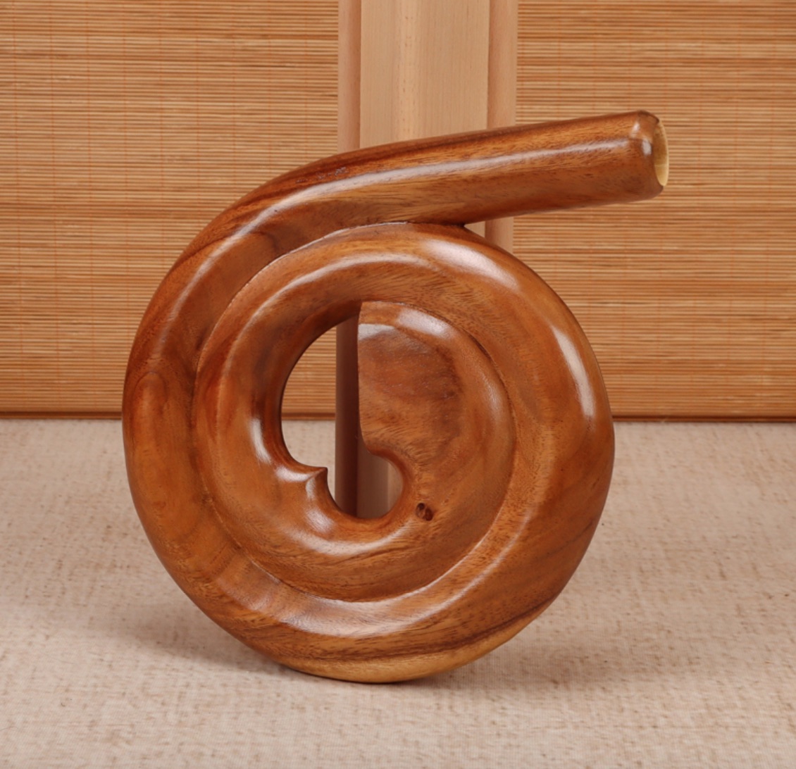 Didgeridoo draagbare inheemse  - Musical Instrument Didgeridoo recensie en prijs