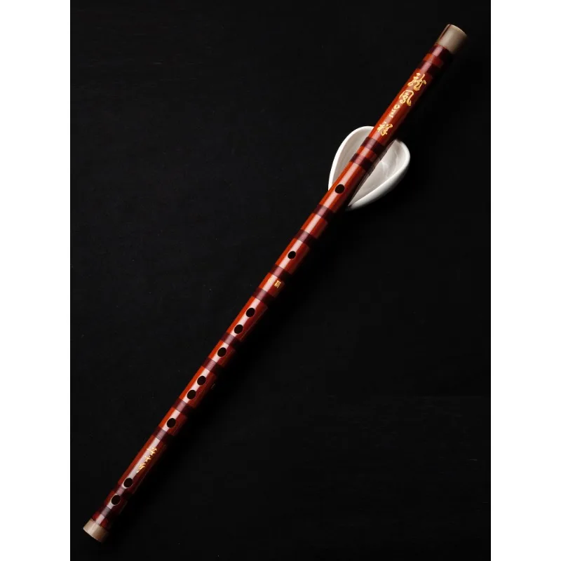 Professionele fluit, hoogwaard - Musical Instrument Ending In A recensie en prijs