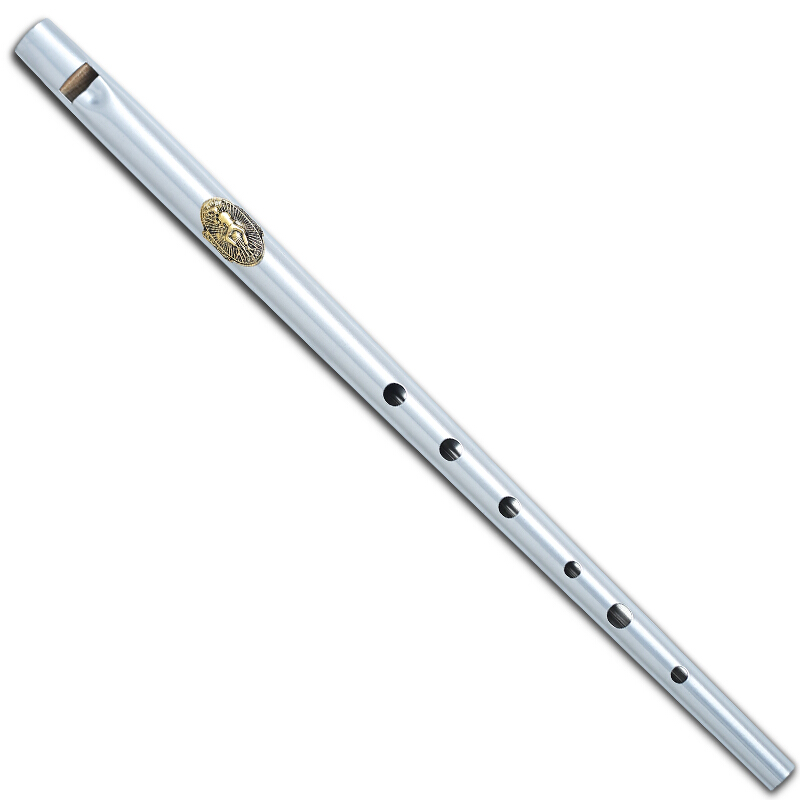 Herdenkingsmunt Clarke fluit,  - Musical Instrument Irish recensie en prijs