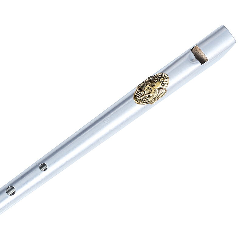 Herdenkingsmunt Clarke fluit,  - Musical Instrument Irish recensie en prijs