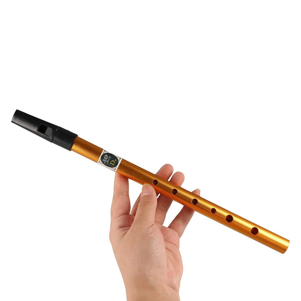 Muziekaccessoires 6-gaats Iers - Musical Instrument Irish recensie en prijs