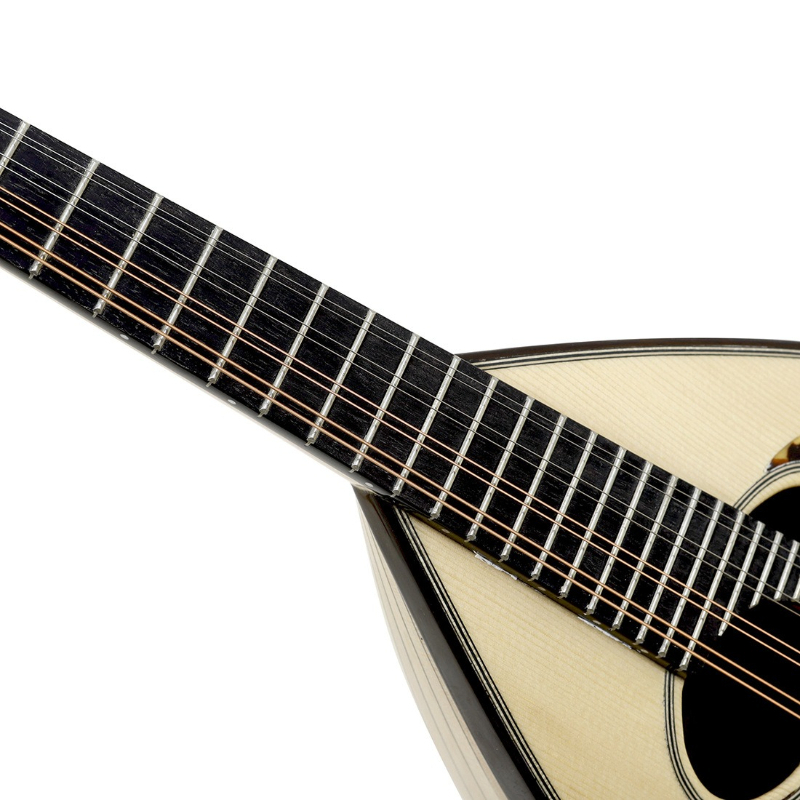 8-snarige mandoline profession - Mandolin A Style recensie en prijs