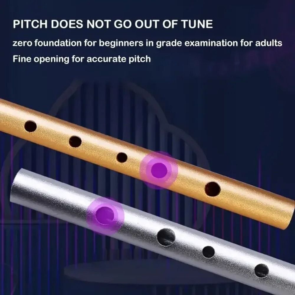 C/D Sleutel Ierse Fluit 6 Gate - Musical Instrument Irish recensie en prijs
