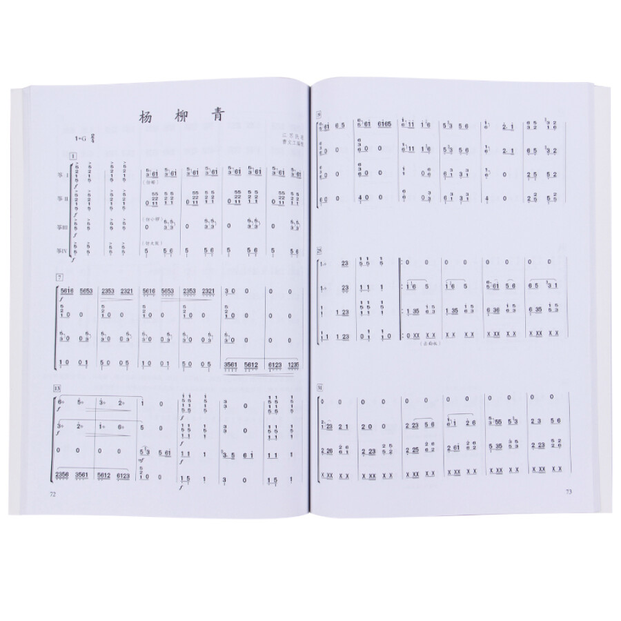 Chinees Guzheng Ensemble-muzie - Musical Instrument Groups recensie en prijs