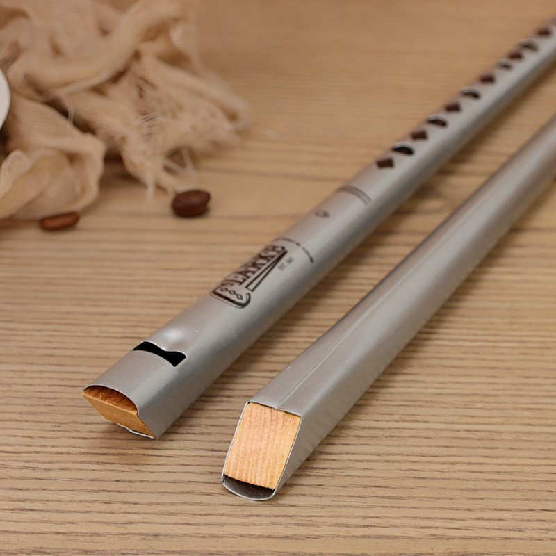 Traditionele Clarke Fluit Zilv - Musical Instrument Irish recensie en prijs