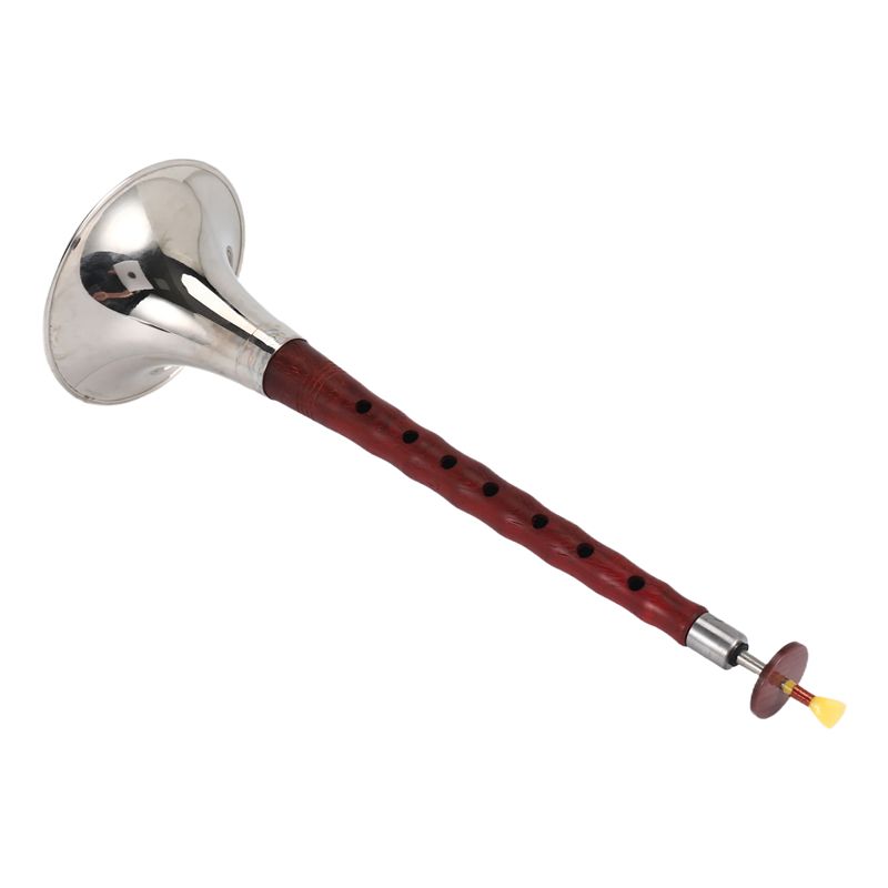 A12E-Chinees Folk Wind Muzieki - Musical Instrument Zurna recensie en prijs