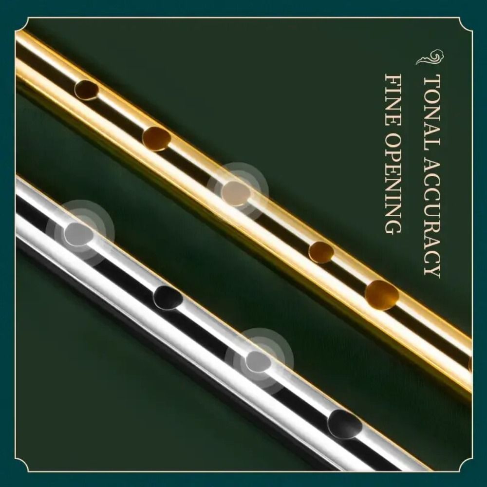 6 Gaten C/D Sleutel Ierse Flui - Musical Instrument Irish recensie en prijs
