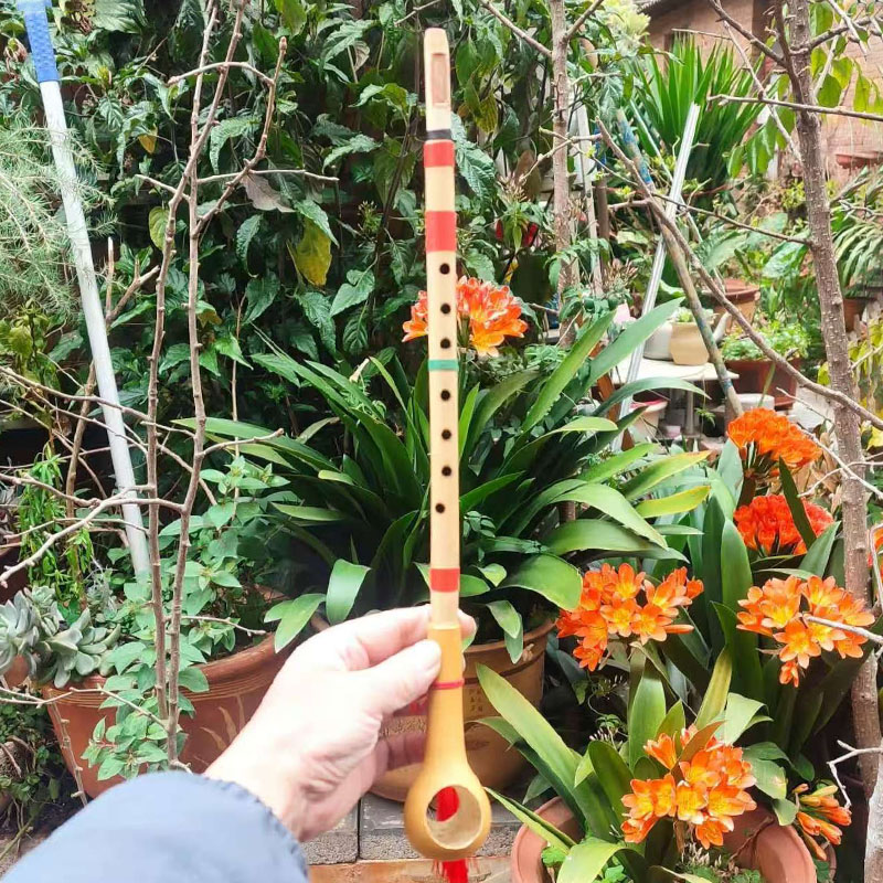 Handgemaakte bamboe rechte flu - Musical Instrument Groups recensie en prijs